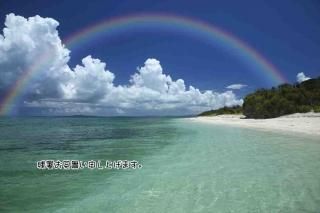 <img class='new_mark_img1' src='https://img.shop-pro.jp/img/new/icons1.gif' style='border:none;display:inline;margin:0px;padding:0px;width:auto;' />ڸƤλĽ븫񤤥ݥȥɡֻۡĽ뤪񤤿夲ޤײƤζ˱ս Ϥϥ