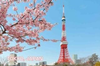 <img class='new_mark_img1' src='https://img.shop-pro.jp/img/new/icons1.gif' style='border:none;display:inline;margin:0px;padding:0px;width:auto;' />ܤδѸϥݥȥAIRʸTOKYO, JAPANȺΥϥսϤ