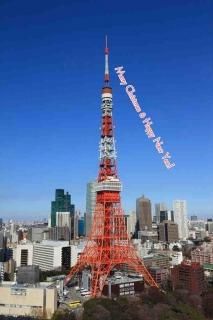 <img class='new_mark_img1' src='https://img.shop-pro.jp/img/new/icons1.gif' style='border:none;display:inline;margin:0px;padding:0px;width:auto;' />ڵΰݥȥɡۡMerry Christmas & Happy New Year  սϤϥ