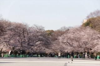 <img class='new_mark_img1' src='https://img.shop-pro.jp/img/new/icons1.gif' style='border:none;display:inline;margin:0px;padding:0px;width:auto;' />ܤνʥݥȥɡκսϥϤ photo by MIRO