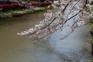 <img class='new_mark_img1' src='https://img.shop-pro.jp/img/new/icons1.gif' style='border:none;display:inline;margin:0px;padding:0px;width:auto;' />ܤνʥݥȥɡۺ̸ûԳѿκ5սϥϤ photo by MIRO