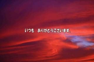 <img class='new_mark_img1' src='https://img.shop-pro.jp/img/new/icons1.gif' style='border:none;display:inline;margin:0px;padding:0px;width:auto;' />ݥȥʸ֤Ĥ⡡꤬ȤޤͼեȥɥݥȥɥϥϤսpostcard-