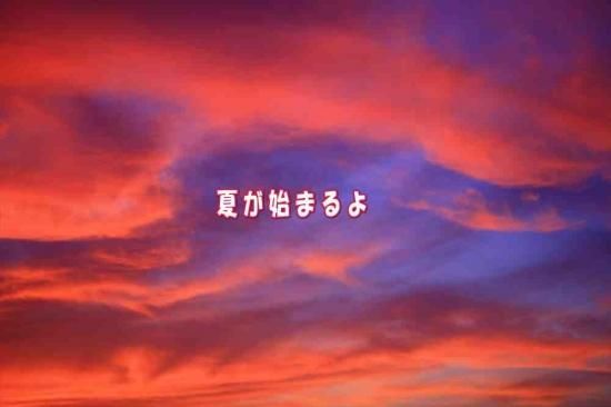 ポストカード文字入り 夏が始まるよ 美しい夕日のフォトカードポストカードハガキはがき絵葉書postcard Lac Et Soleil ポストカードのair ポストカード文字入り 夏が始まるよ 美しい夕日のフォトカードポストカードハガキはがき絵葉書postcard Lac Et Soleil ポストカードのair