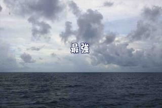 <img class='new_mark_img1' src='https://img.shop-pro.jp/img/new/icons1.gif' style='border:none;display:inline;margin:0px;padding:0px;width:auto;' />ݥȥʸֺǶײζեȥɥݥȥɥϥϤսpostcard-
