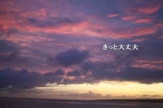 <img class='new_mark_img1' src='https://img.shop-pro.jp/img/new/icons1.gif' style='border:none;display:inline;margin:0px;padding:0px;width:auto;' />ݥȥʸ֤äס׶եȥɥݥȥɥϥϤսpostcard-