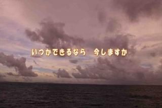 <img class='new_mark_img1' src='https://img.shop-pro.jp/img/new/icons1.gif' style='border:none;display:inline;margin:0px;padding:0px;width:auto;' />ڸդݥȥɤAIR֤ۡĤǤʤ顡ޤץեȥɥݥȥɥϥϤսpostcard-