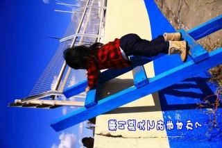 <img class='new_mark_img1' src='https://img.shop-pro.jp/img/new/icons1.gif' style='border:none;display:inline;margin:0px;padding:0px;width:auto;' />ݥȥʸ־ۤƤߤޤפΥեȥɥݥȥɥϥϤսpostcard-