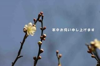 <img class='new_mark_img1' src='https://img.shop-pro.jp/img/new/icons1.gif' style='border:none;display:inline;margin:0px;padding:0px;width:auto;' />ڵߥݥȥɣɣҡִۡ椪Ǥ夲ޤߤΥեȥɥݥȥɥϥϤսpostcard-