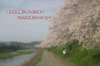 <img class='new_mark_img1' src='https://img.shop-pro.jp/img/new/icons1.gif' style='border:none;display:inline;margin:0px;padding:0px;width:auto;' />ڵߥݥȥɣɣҡִۡ椪񤤿夲ޤᤴǤ׺ΥեȥɥݥȥɥϥϤսpostcard-