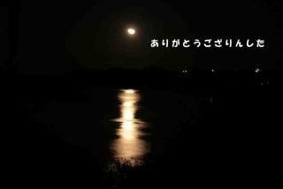 <img class='new_mark_img1' src='https://img.shop-pro.jp/img/new/icons1.gif' style='border:none;display:inline;margin:0px;padding:0px;width:auto;' />ݥȥʸ֤꤬Ȥ󤷤׷ΥեȥɥݥȥɥϥϤսpostcard-