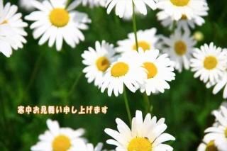 <img class='new_mark_img1' src='https://img.shop-pro.jp/img/new/icons1.gif' style='border:none;display:inline;margin:0px;padding:0px;width:auto;' />ݥȥʸִ椪񤤿夲ޤ׺ΥեȥɥݥȥɥϥϤսpostcard-