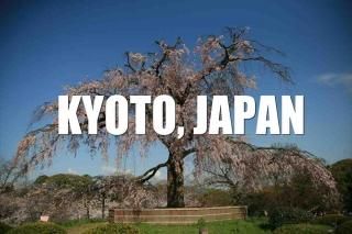 <img class='new_mark_img1' src='https://img.shop-pro.jp/img/new/icons1.gif' style='border:none;display:inline;margin:0px;padding:0px;width:auto;' />ݥȥɣɣҡڴѸϥ꡼ۡKYOTO, JAPANױ߻κեȥɥݥȥɥϥϤսpostcard-