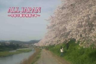 <img class='new_mark_img1' src='https://img.shop-pro.jp/img/new/icons1.gif' style='border:none;display:inline;margin:0px;padding:0px;width:auto;' />ݥȥʸALL JAPANǯνդ̤Ǥ׺̺ҤΥեȥɥݥȥɥϥϤսpostcard-