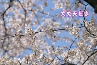 <img class='new_mark_img1' src='https://img.shop-pro.jp/img/new/icons1.gif' style='border:none;display:inline;margin:0px;padding:0px;width:auto;' />ݥȥʸפ׺ΥեȥɥݥȥɥϥϤսpostcard-