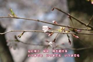 <img class='new_mark_img1' src='https://img.shop-pro.jp/img/new/icons1.gif' style='border:none;display:inline;margin:0px;padding:0px;width:auto;' />ڵեݥȥɣɣҡֿۡ˺餯ϡ餭³롡ĤޤǤ⡦׺ΥեȥɥϥϤսpostcard-