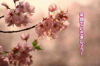 <img class='new_mark_img1' src='https://img.shop-pro.jp/img/new/icons1.gif' style='border:none;display:inline;margin:0px;padding:0px;width:auto;' />ݥȥʸ־дǤޤ礦ץեȥɥϥϤսpostcard-