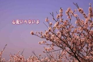 <img class='new_mark_img1' src='https://img.shop-pro.jp/img/new/icons1.gif' style='border:none;display:inline;margin:0px;padding:0px;width:auto;' />ΥݥȥʸֿۤʤץեȥɥϥϤսpostcard-