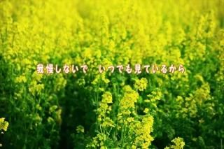 <img class='new_mark_img1' src='https://img.shop-pro.jp/img/new/icons1.gif' style='border:none;display:inline;margin:0px;padding:0px;width:auto;' />ڤβ֤ΥݥȥʸֲʤǡĤǤ⸫Ƥ뤫ץեȥɥϥϤսpostcard-