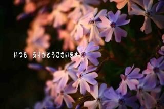 <img class='new_mark_img1' src='https://img.shop-pro.jp/img/new/icons1.gif' style='border:none;display:inline;margin:0px;padding:0px;width:auto;' />֤Ĥ⡡꤬ȤޤʸݥȥɥϥϤսpostcard-