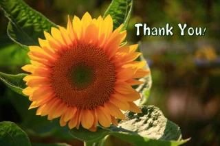<img class='new_mark_img1' src='https://img.shop-pro.jp/img/new/icons1.gif' style='border:none;display:inline;margin:0px;padding:0px;width:auto;' />Tank You!ʸݥȥɳսϥϤҤޤ