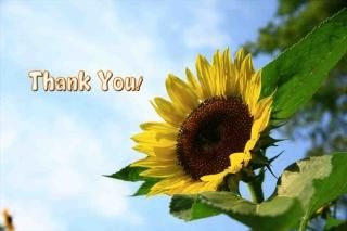 <img class='new_mark_img1' src='https://img.shop-pro.jp/img/new/icons1.gif' style='border:none;display:inline;margin:0px;padding:0px;width:auto;' />Tank You!ʸݥȥɳսϥϤҤޤ