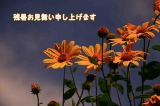 <img class='new_mark_img1' src='https://img.shop-pro.jp/img/new/icons1.gif' style='border:none;display:inline;margin:0px;padding:0px;width:auto;' />ڵƥݥȥɣɣҡֻۡĽ뤪񤤿夲ޤʸݥȥɳսϥϤҤޤ