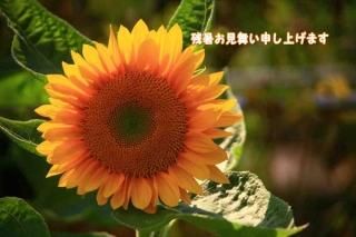 <img class='new_mark_img1' src='https://img.shop-pro.jp/img/new/icons1.gif' style='border:none;display:inline;margin:0px;padding:0px;width:auto;' />ڵƥݥȥɣɣҡֻۡĽ뤪񤤿夲ޤʸݥȥɳսϥϤҤޤ