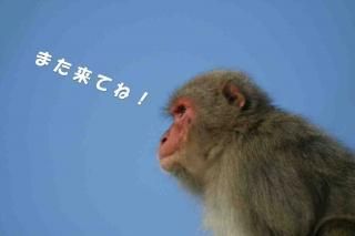 <img class='new_mark_img1' src='https://img.shop-pro.jp/img/new/icons1.gif' style='border:none;display:inline;margin:0px;padding:0px;width:auto;' />ڥå׸ݥȥɣɣҡ֤ۡޤƤ͡ʸݥȥɳսϥϤ ܱ