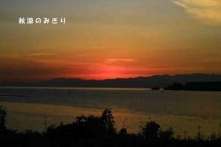 <img class='new_mark_img1' src='https://img.shop-pro.jp/img/new/icons1.gif' style='border:none;display:inline;margin:0px;padding:0px;width:auto;' />ڵΥݥȥɣɣҡֽۡäΤߤʸݥȥɳսϥϤ