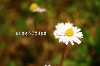 <img class='new_mark_img1' src='https://img.shop-pro.jp/img/new/icons1.gif' style='border:none;display:inline;margin:0px;padding:0px;width:auto;' />ݥȥɣɣҡڸդ֤꤬ۡȤޤʸݥȥɳսϥϤ