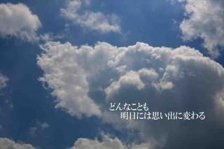 <img class='new_mark_img1' src='https://img.shop-pro.jp/img/new/icons1.gif' style='border:none;display:inline;margin:0px;padding:0px;width:auto;' />֤ɤʤȤˤϻפФѤױȶʸݥȥɳսϥϤ