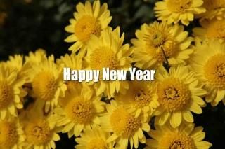 <img class='new_mark_img1' src='https://img.shop-pro.jp/img/new/icons1.gif' style='border:none;display:inline;margin:0px;padding:0px;width:auto;' />Happy New Year׸ϲ֤ΤʸݥȥɳսϥϤ