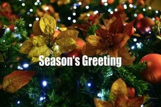 <img class='new_mark_img1' src='https://img.shop-pro.jp/img/new/icons1.gif' style='border:none;display:inline;margin:0px;padding:0px;width:auto;' />Season's Greetingץꥹޥĥ꡼ȥʥȤΤʸݥȥɳսϥϤ