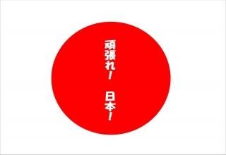 <img class='new_mark_img1' src='https://img.shop-pro.jp/img/new/icons1.gif' style='border:none;display:inline;margin:0px;padding:0px;width:auto;' />ִĥ졪ܡʸݥȥɳսϥϤ