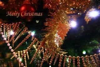 <img class='new_mark_img1' src='https://img.shop-pro.jp/img/new/icons1.gif' style='border:none;display:inline;margin:0px;padding:0px;width:auto;' />Merry Christmasץꥹޥĥ꡼ʸݥȥɳսϥϤ