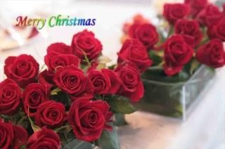 <img class='new_mark_img1' src='https://img.shop-pro.jp/img/new/icons1.gif' style='border:none;display:inline;margin:0px;padding:0px;width:auto;' />Merry Christmas鯡ХʸݥȥɳսϥϤ