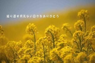<img class='new_mark_img1' src='https://img.shop-pro.jp/img/new/icons1.gif' style='border:none;display:inline;margin:0px;padding:0px;width:auto;' />ַ֤ʤ򤢤꤬ȤĶʸݥȥɳսϥϤ
