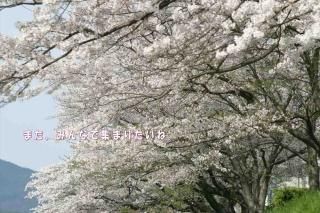 <img class='new_mark_img1' src='https://img.shop-pro.jp/img/new/icons1.gif' style='border:none;display:inline;margin:0px;padding:0px;width:auto;' />֤ޤߤʤǽޤꤿ͡ʸݥȥɳսϥϤ