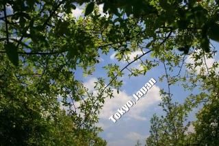 <img class='new_mark_img1' src='https://img.shop-pro.jp/img/new/icons1.gif' style='border:none;display:inline;margin:0px;padding:0px;width:auto;' />ݥȥɣɣҡڴѸϥ꡼ۡTokyo, Japan׼ʸݥȥɳսϥϤ