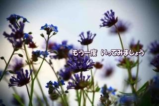 <img class='new_mark_img1' src='https://img.shop-pro.jp/img/new/icons1.gif' style='border:none;display:inline;margin:0px;padding:0px;width:auto;' />֤⤦١äƤߤޤ礦ʸݥȥɳսϥϤ