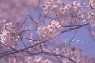 <img class='new_mark_img1' src='https://img.shop-pro.jp/img/new/icons1.gif' style='border:none;display:inline;margin:0px;padding:0px;width:auto;' />ֽդǤ͡׺ΥʸݥȥɳսϥϤ