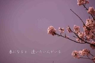 <img class='new_mark_img1' src='https://img.shop-pro.jp/img/new/icons1.gif' style='border:none;display:inline;margin:0px;padding:0px;width:auto;' />ֽդˤʤȡͤ׺ΥʸݥȥɳսϥϤ