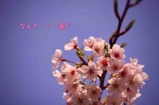 <img class='new_mark_img1' src='https://img.shop-pro.jp/img/new/icons1.gif' style='border:none;display:inline;margin:0px;padding:0px;width:auto;' />֤ʤ󤫡׺ΥʸݥȥɳսϥϤ