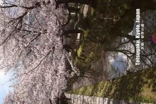 <img class='new_mark_img1' src='https://img.shop-pro.jp/img/new/icons1.gif' style='border:none;display:inline;margin:0px;padding:0px;width:auto;' />ݥȥɣɣҡڴѸϥ꡼ۡTetsugaku, Kyoto, Japanԡůؤƻ׺ΥʸݥȥɳսϥϤ