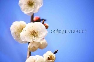 <img class='new_mark_img1' src='https://img.shop-pro.jp/img/new/icons1.gif' style='border:none;display:inline;margin:0px;padding:0px;width:auto;' />֤ιޤƤ꤬ȤߤΥʸݥȥɳսϥϤ