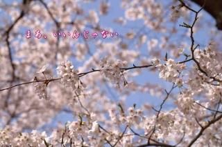 <img class='new_mark_img1' src='https://img.shop-pro.jp/img/new/icons1.gif' style='border:none;display:inline;margin:0px;padding:0px;width:auto;' />֤ޤ󤸤ʤ׺ΥʸݥȥɳսϥϤ