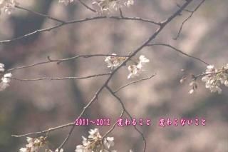 <img class='new_mark_img1' src='https://img.shop-pro.jp/img/new/icons1.gif' style='border:none;display:inline;margin:0px;padding:0px;width:auto;' />20112012Ѥ뤳Ѥʤȡ׺ΥʸݥȥɳսϥϤ