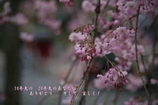 <img class='new_mark_img1' src='https://img.shop-pro.jp/img/new/icons1.gif' style='border:none;display:inline;margin:0px;padding:0px;width:auto;' />10ǯΡ20ǯΤʤˡ꤬Ȥơ׺ΥʸݥȥɳսϥϤ
