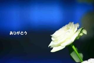 <img class='new_mark_img1' src='https://img.shop-pro.jp/img/new/icons1.gif' style='border:none;display:inline;margin:0px;padding:0px;width:auto;' />֤꤬Ȥ鯤ΥʸݥȥɳսϥϤ