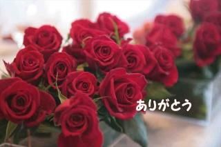 <img class='new_mark_img1' src='https://img.shop-pro.jp/img/new/icons1.gif' style='border:none;display:inline;margin:0px;padding:0px;width:auto;' />֤꤬Ȥ鯤ΥʸݥȥɳսϥϤ